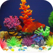 Top 30 Lifestyle Apps Like Aquarium Decoration Ideas - Best Alternatives