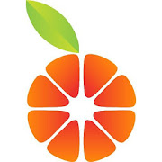 Orange Driver 1.4.5 Icon