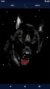 Black Live Wallpaper Dark Mode 6.8.13 APK screenshots 6