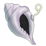 Magic Conch Shell icon
