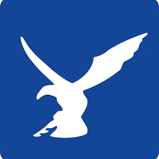 Falcon Technology logo