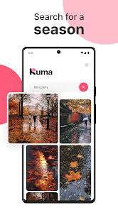 Imágen 5 Kuma - Search photo by text android