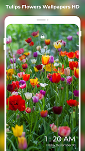 4K Tulips Flowers Wallpapers
