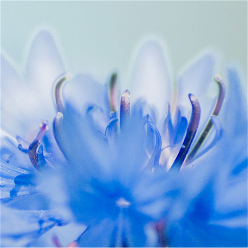 Liberalerna Sjukvård Gävleborg