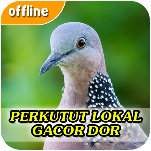 Suara Perkutut Lokal Gacor Dor logo