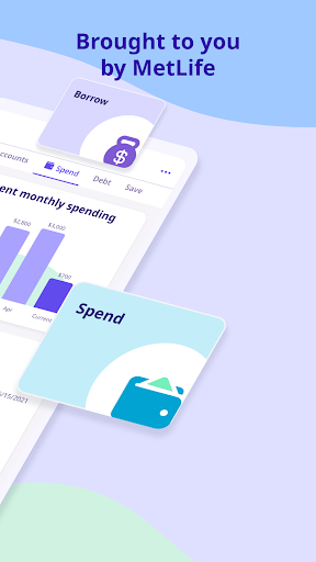 Screenshot of MetLife Personal Finance App