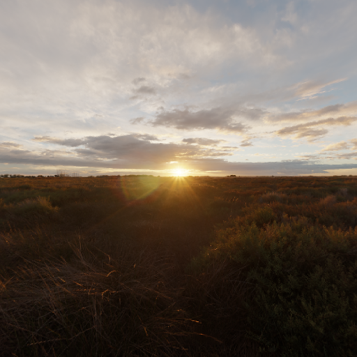 Panorama Live Wallpaper