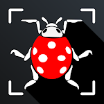 Cover Image of Download Insect Identifier Bug Identify  APK