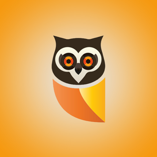 Owls Eye Security logo