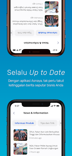 Asnaya Screen 3