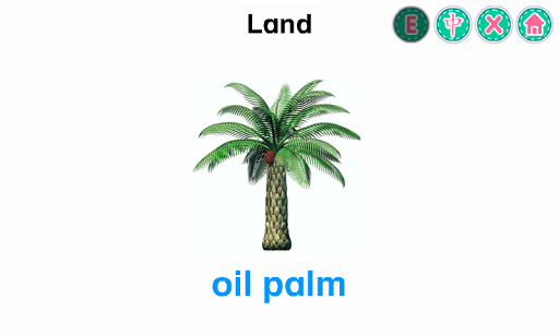 PicDic - Plants (Eng-Chinese) Screen 3