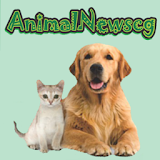 ANIMAL NEWS CG icon