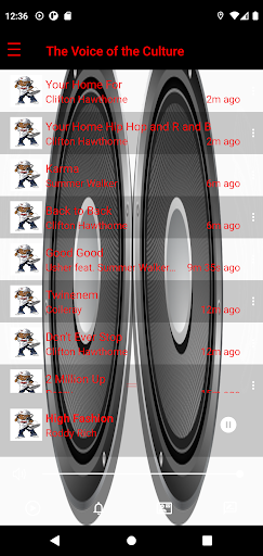 The Viking Radio Screen 3