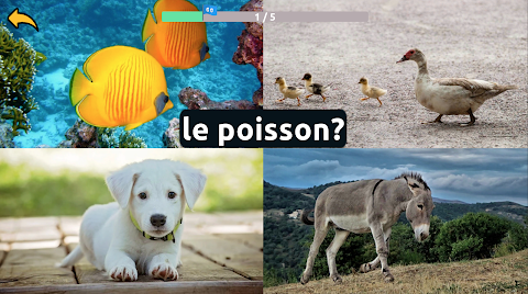 Learn Animals in Frenchのおすすめ画像3