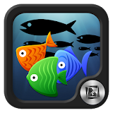 TSF Shell Pendant - Fish icon