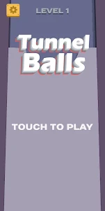 Find Ball Puzzle
