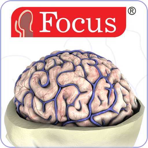 NEUROANATOMY - Digital Atlas  Icon