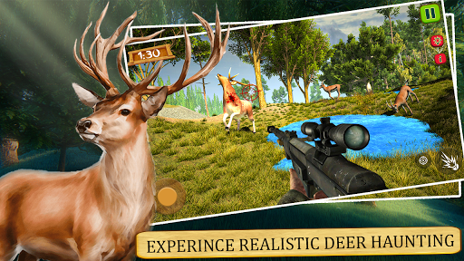 Deer Hunting 2020 - Wild Animal Sniper Shooting 3D