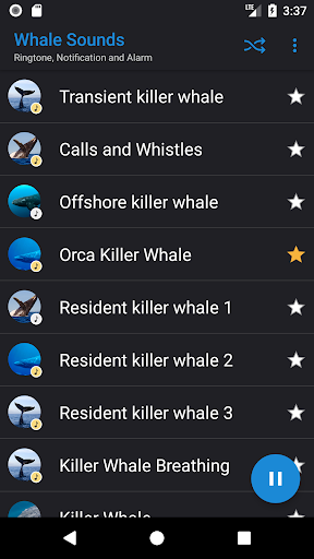Whale Sounds Screen 3
