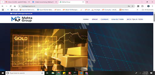 Mehta Group