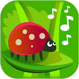 Nature Sounds and Music icon