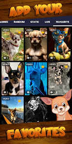 Captura 6 Fondo de pantalla de chihuahua android