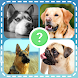 Dog Quiz Guess Dog Names Test - Androidアプリ