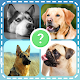 Dog Quiz Guess Dog Names Test