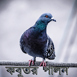 Cover Image of Unduh কবুতর পালনে হোন স্বাবলম্বী  APK