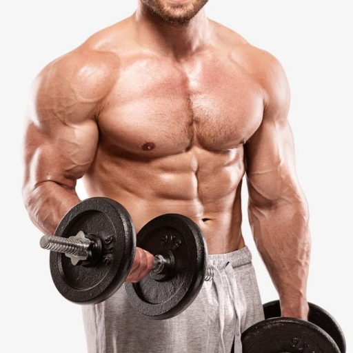 sport fitness musculation logo
