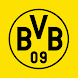BVB eAcademy - Androidアプリ