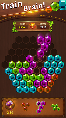 Game screenshot Block Puzzle hack