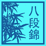 Qigong Baduanjin icon