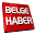 Belge Download on Windows