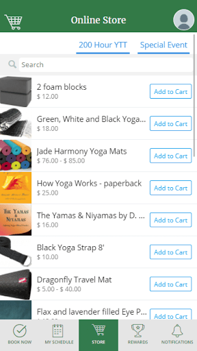 Soul Space Yoga and Wellness