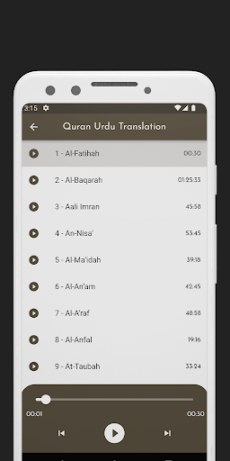 Quran Urdu Audio Translation Screen 3