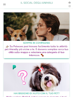 Petwave