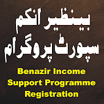 Cover Image of ดาวน์โหลด Benazir Income Support 1.1 APK