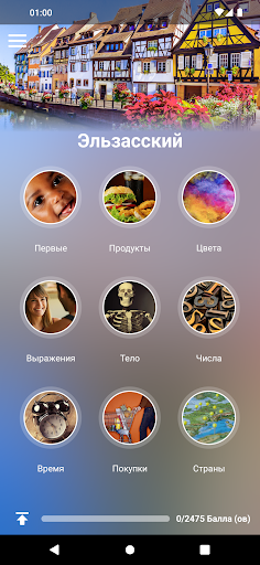 Предварительный просмотр приложения
