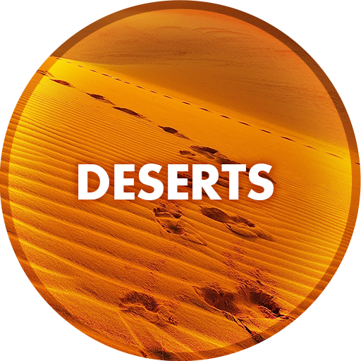 Desert Wallpapers in 4K  Icon