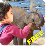 Kids wildlife zoo - learn&play icon
