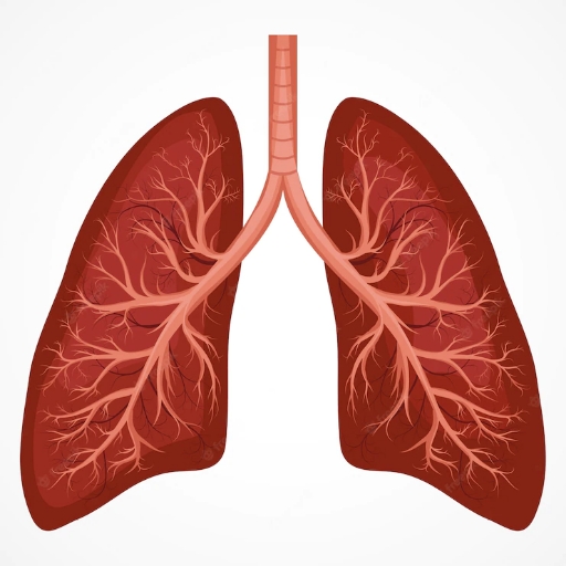 Lung Test and Breath Exercise logo