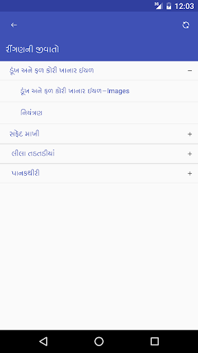 રીંગણની જીવાતો Screen 3