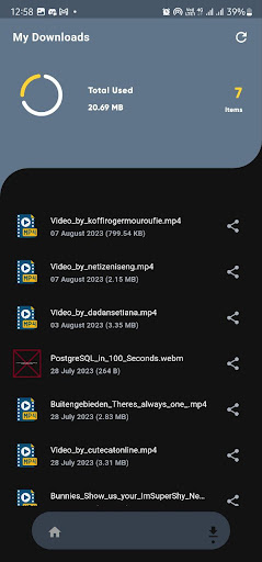 Video Downloader  FB Tiktok