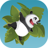 Crazy Panda icon