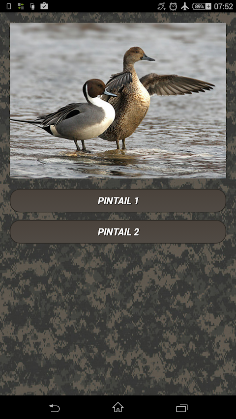 Duck hunting callsのおすすめ画像1