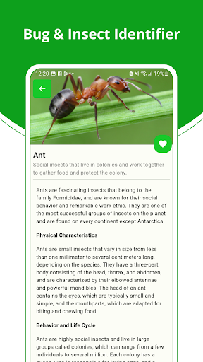 Bug and Insect Identifier Screen 2