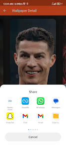 Screenshot image