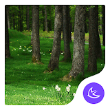 Forest|APUS Launcher theme icon