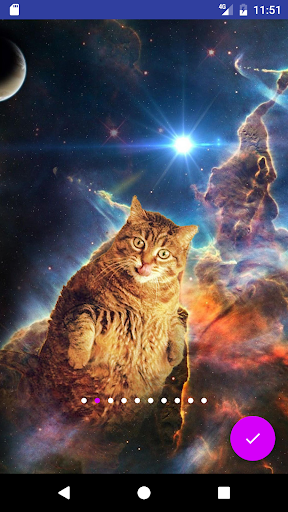 Android application Cats In Space HD Wallpapers screenshort